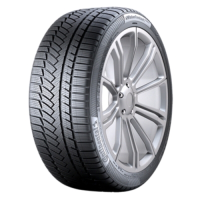 225 65TR 17TTS850PSUV