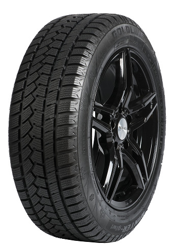 225/40HR18  GOLDLINE TL GLW1 XL