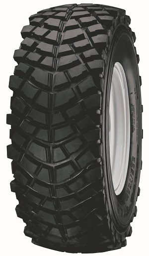 2157016 100Q BS CAIMAN 